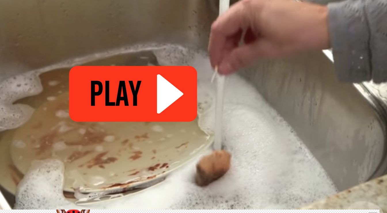 VIDEO She Dunks A Tea Bag In A Sink Full Of Dirty Dishes. The Result